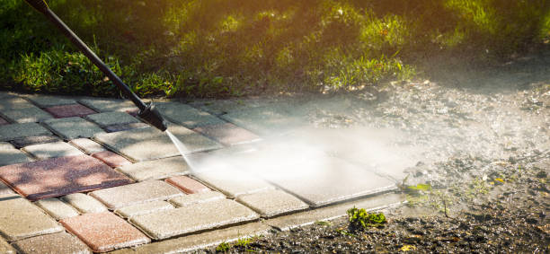 Best Window and Screen Pressure Cleaning in Warrenvle, IL
