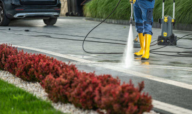 Best Gutter Cleaning and Brightening in Warrenvle, IL