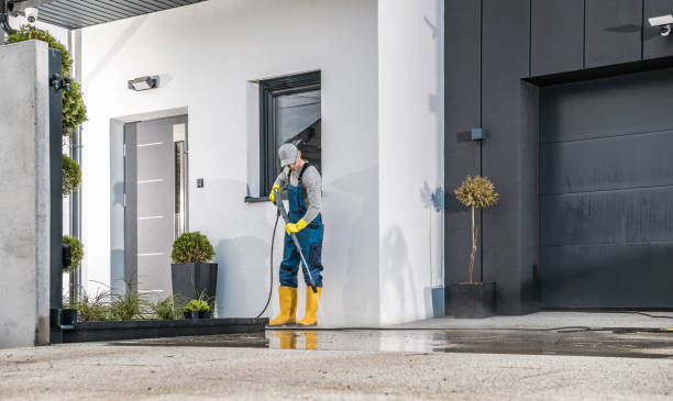 Best Roof Cleaning and Mildew Removal in Warrenvle, IL